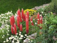 rasen-pflanzarbeiten-theisen_04